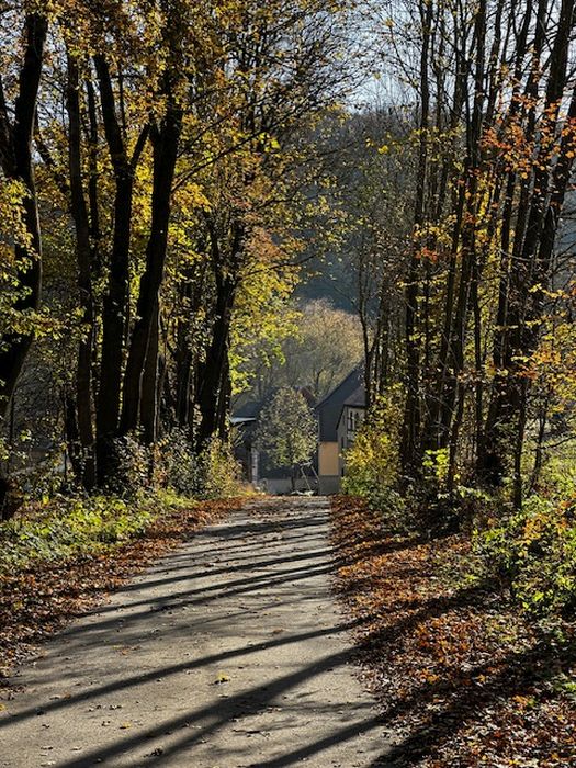 Blick auf Plinz im Herbst